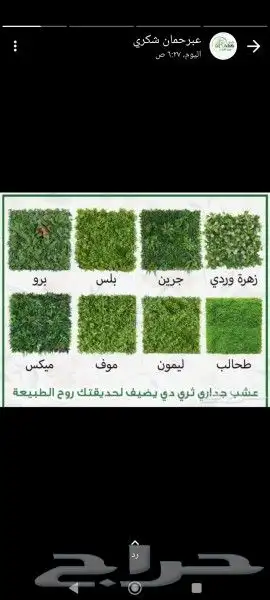 عشب صناعي في تنسيق الحدائق عشبه جداري وارضي ديكورات كما تحب 2