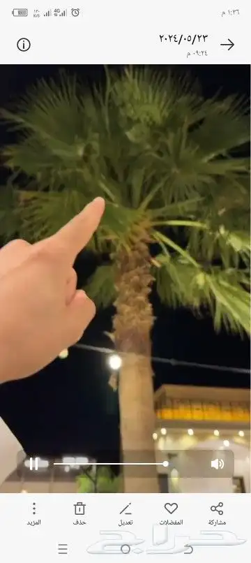 معلم تكريب جميع أنواع النخيل وخلع وغرز النخيل 1