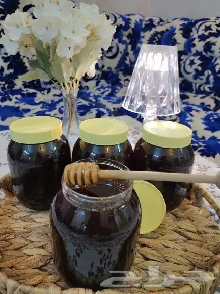 عسل طلح طازه من ابو راكة بين تبوك والعلا 1