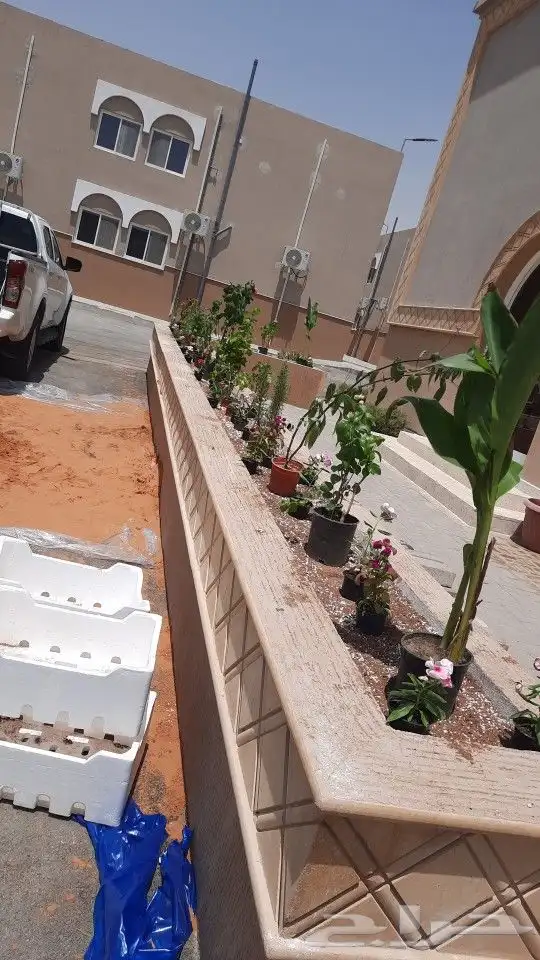 أخوات خارجي شجرة كبير صغير 3