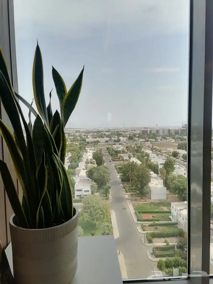 دهان مباني دهانات باكستاني 3
