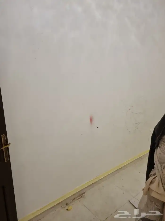 معلم دهانات 7