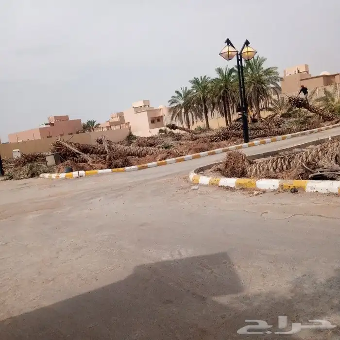 لشغل النخل تكريب وتحويض وقلع وغرس ورش الحشرات 1