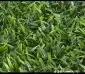 عشب صناعي في تنسيق الحدائق عشبه جداري وارضي ديكورات كما تحب 6