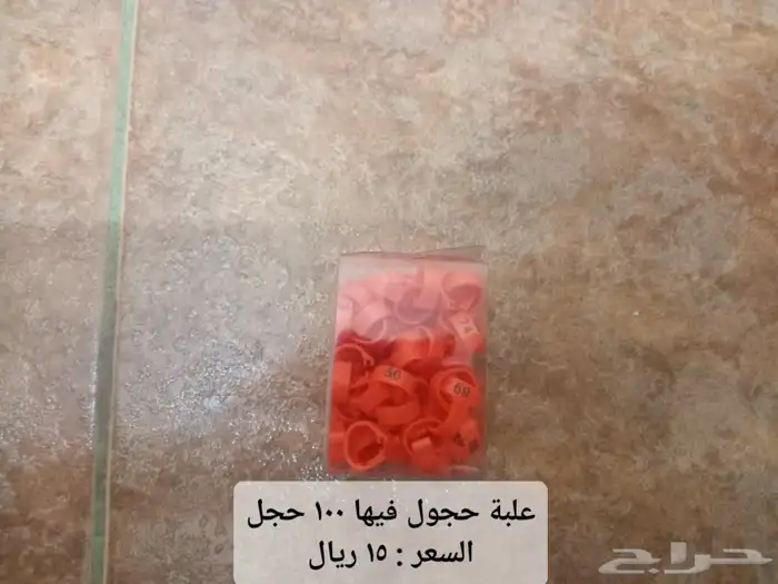 أقفاص دجاج وحمام وسقايات ومعالف 11
