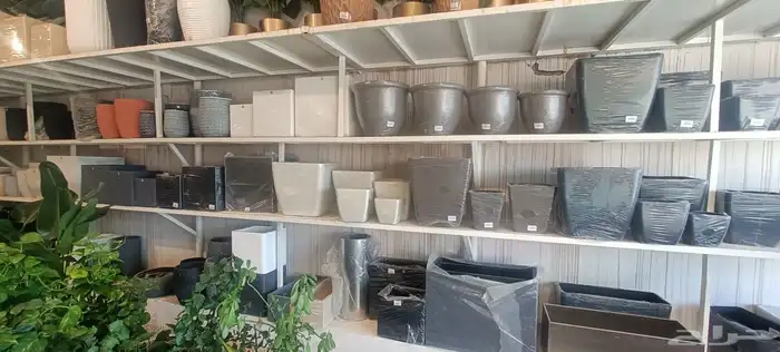 فاخر من الاخر 8