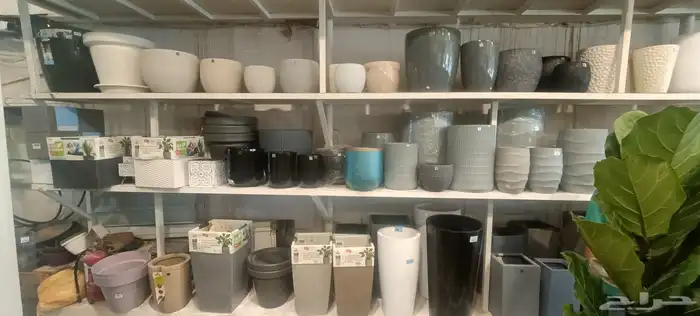 فاخر من الاخر 7