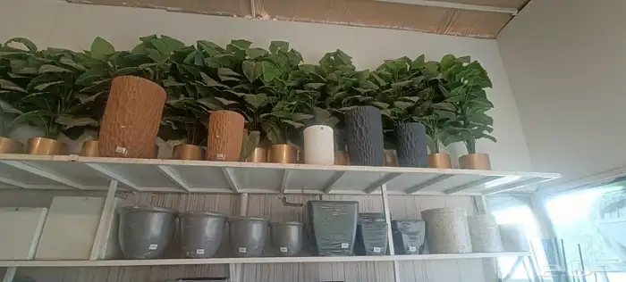 فاخر من الاخر 9