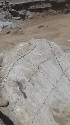 ايجار كمبروسر روماله 1