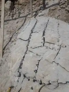 ايجار كمبروسر روماله 0