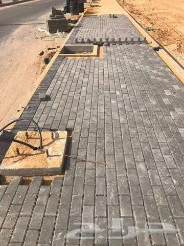 بندور وانترلوك 7