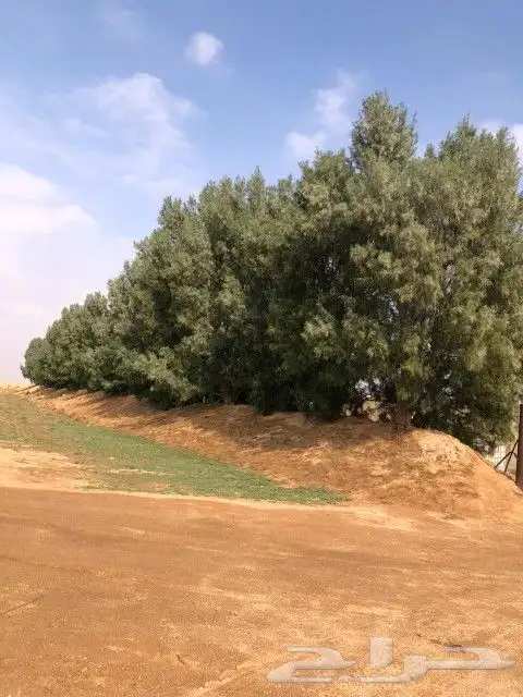 السلام عليكم ورحمه الله وبركاته 8