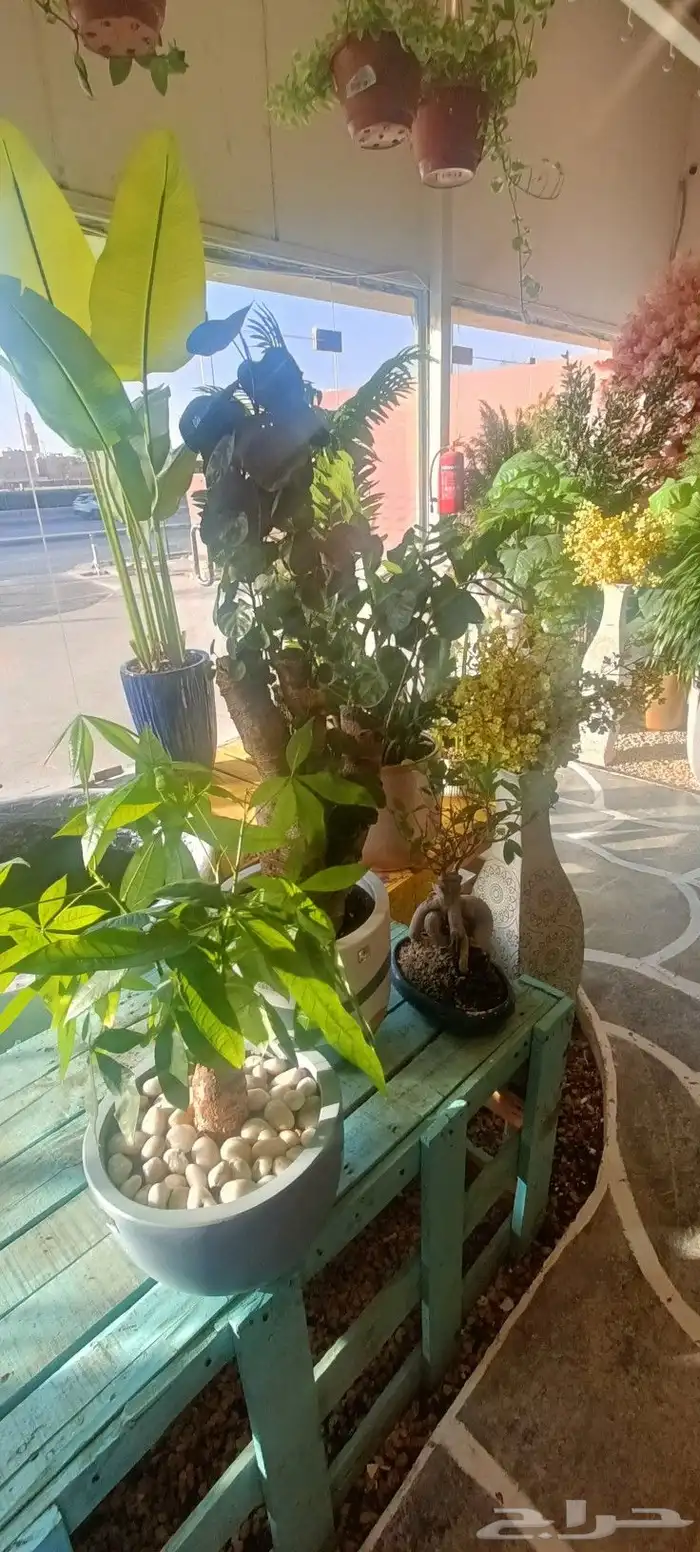 فاخر من الاخر 4