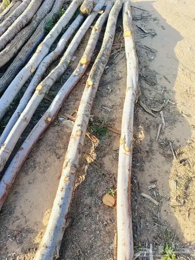 السلام عليكم ورحمه الله وبركاته 0