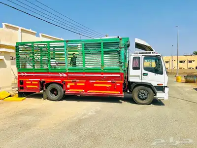 دينا لوري كبير موجود المملكه السعوديه 0