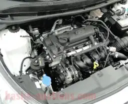 مكاين اكسنت للبيع شد بلد 2