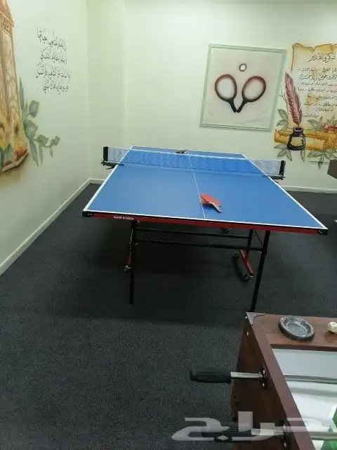 كافة انواع العاب بلياردو تنس هوكي فرفيرة 8