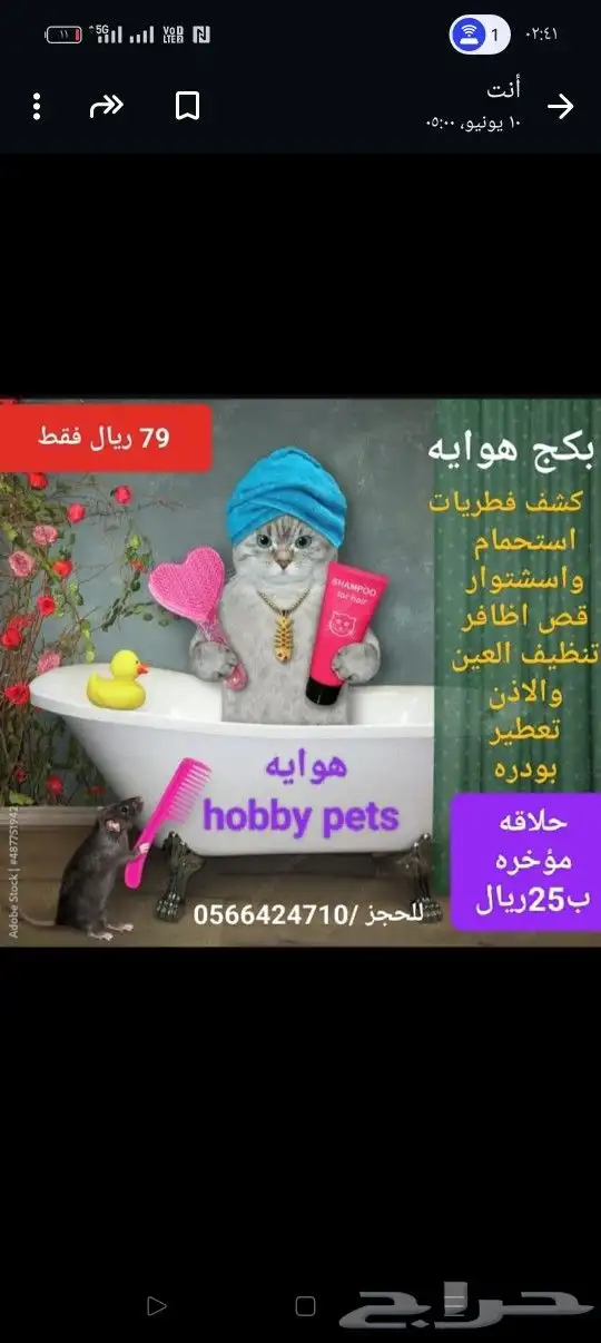 فندقه خمسه نجوم يستحق حيوانك الاليف الراحه التامه 2