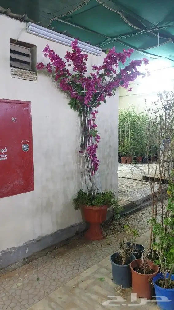 ستاندات جهنمية 3