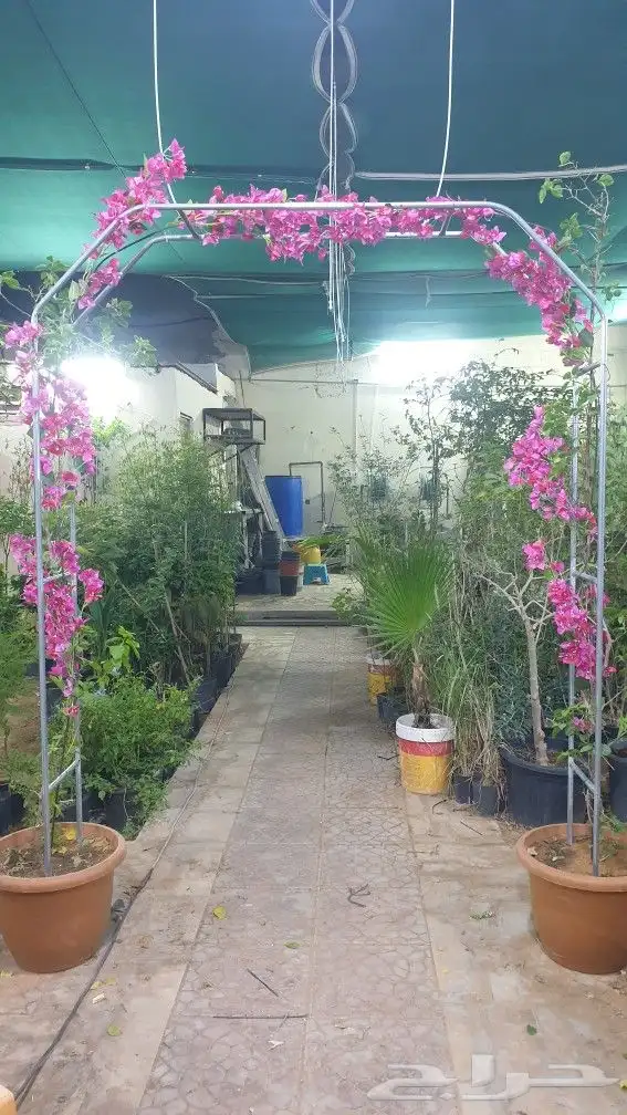 ستاندات جهنمية 1