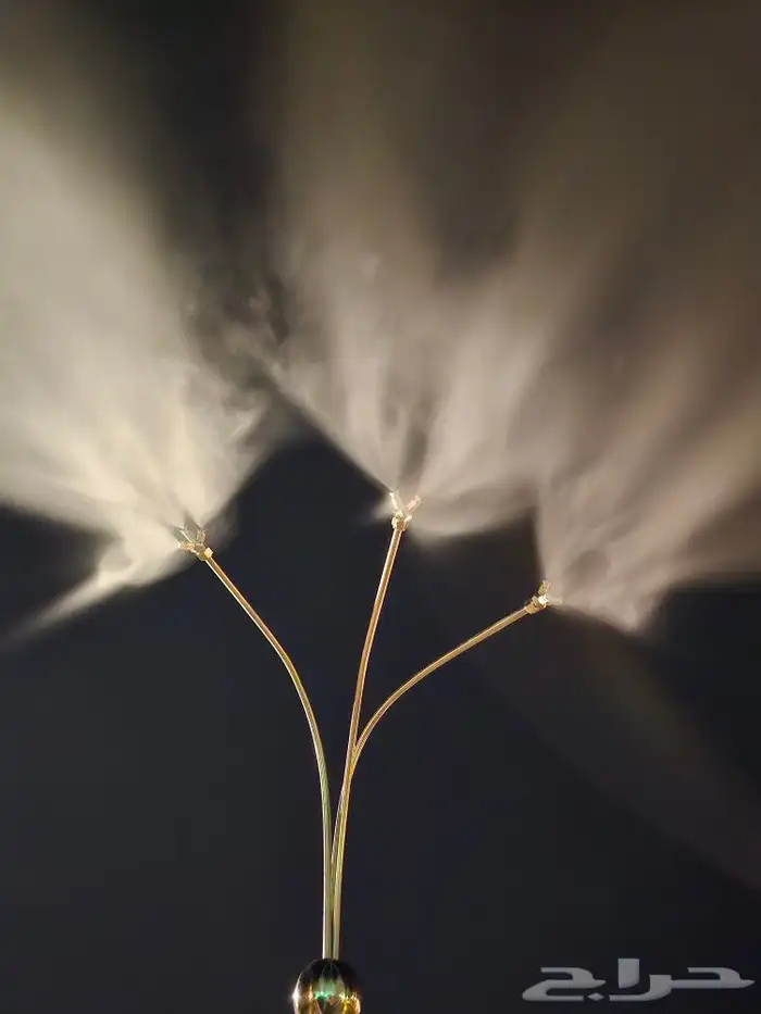 رذاذ ضباب 10