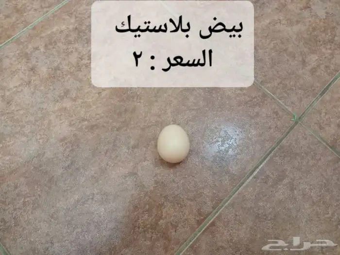 للبيع سقايات ومعالف حقت حمام 13