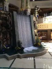 تنسيق حدائق 1