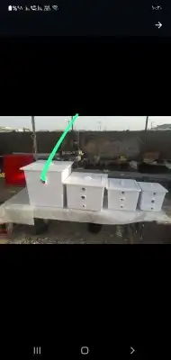 مصايد زيت صفايه زيت مطعم 2