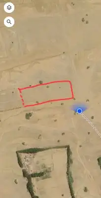 قطعتين زراعيتين متجاورتين سعيد الصوالحه قرية الحصيان بصك 0
