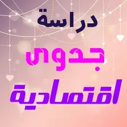 عمل دراسة جدوى اقتصادية 0