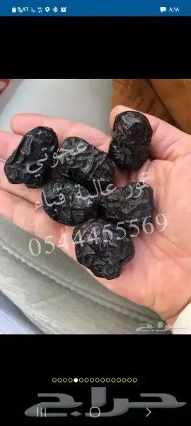 تمر عجوة فاخر 100 من مزارع العالية 1