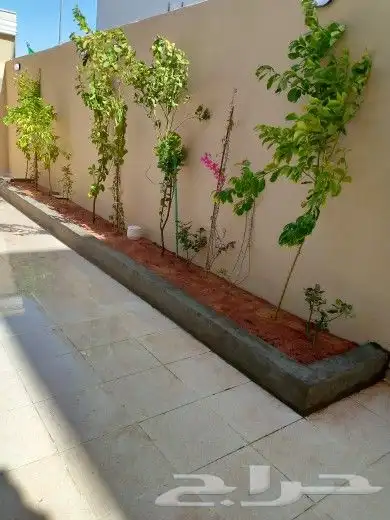 معلم مباني اياسه جوال 1