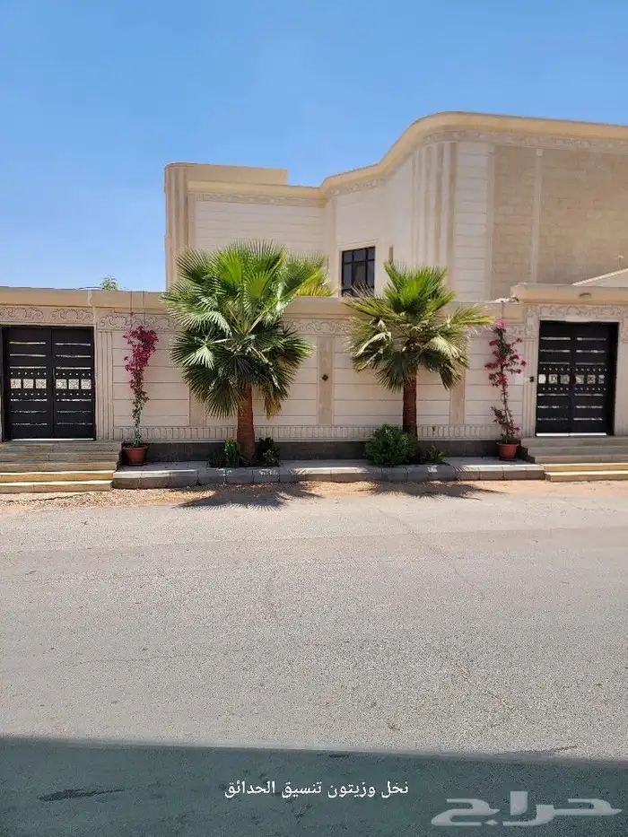 النخل على أصوله 3