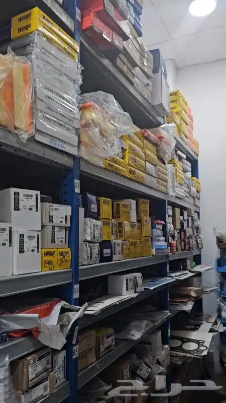 رنج روفر وجاكور وبي أم دبليو بورش أودي فلوكس 5