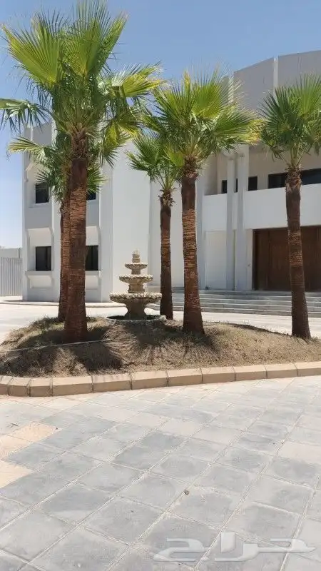 نخل وزراعه وتوريدثيل وزهور 19