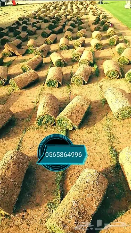 ثيل طبيعي C2000 2