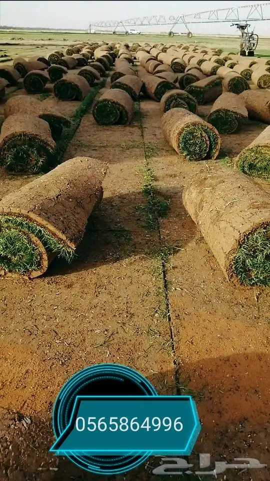 ثيل طبيعي C2000 8