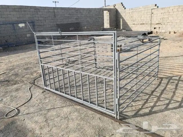 طليان ضان معزا درف غنم شبوك درف عرض درف ابل شبوك خيل 12