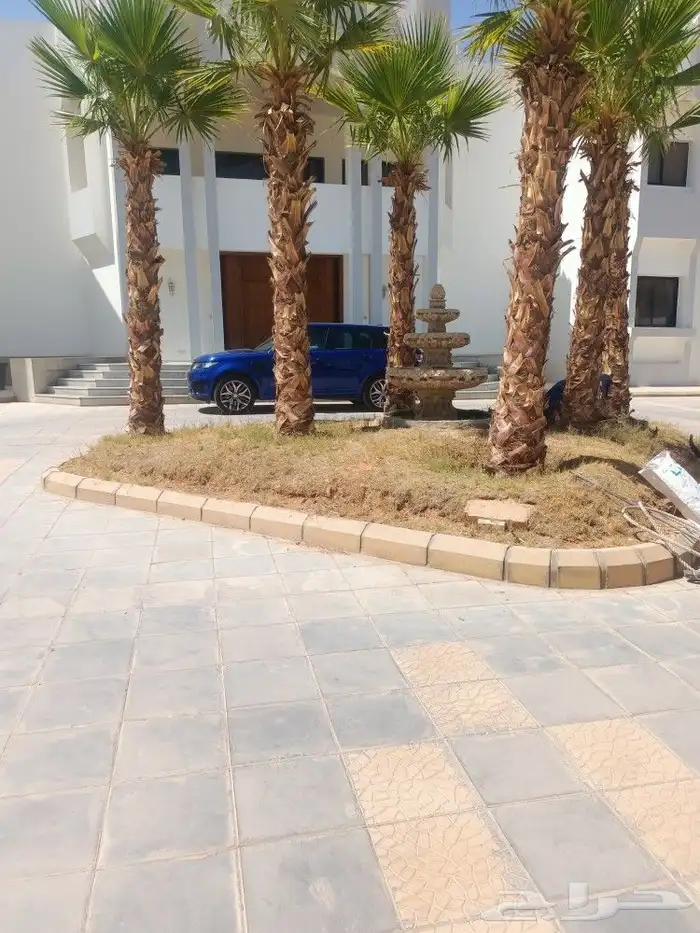 نخل وزراعه وتوريدثيل وزهور 0