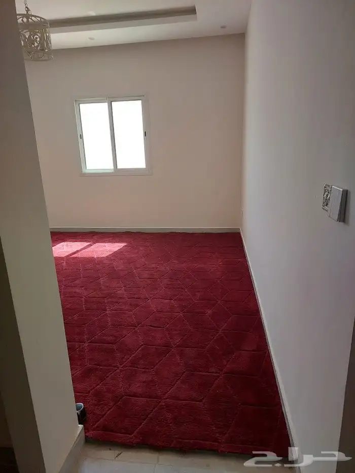 سجاد نظيف 1