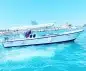 تأجير رحلات بياضه 5