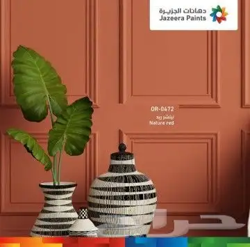 دهان بوية دهانات فلل من الخارج والدخل 3