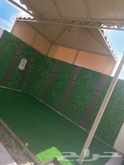 عشب  احواض زراعه شلال 3