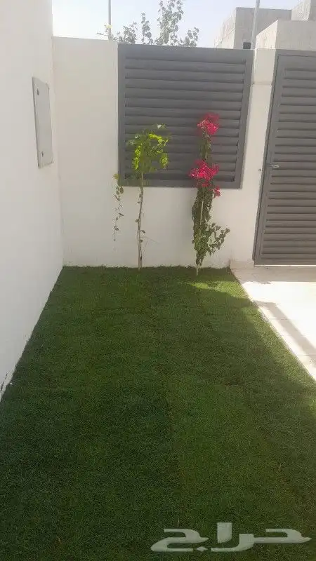 تنسيق الحدائق 0