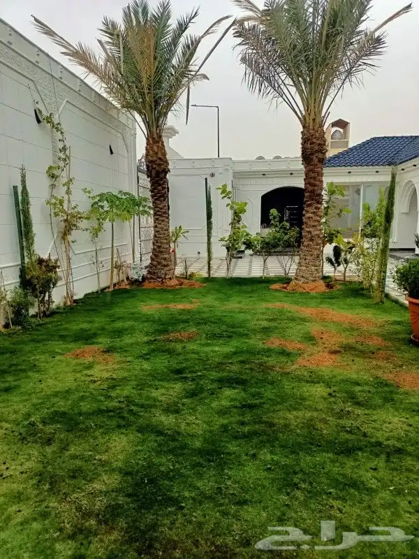 خلع النخيل وترتيب الأشجار 10