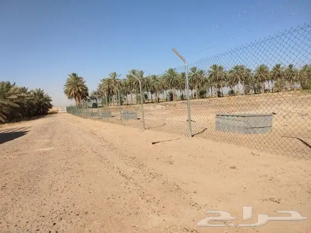 مقاول شبوك كسارات ومزارع 3