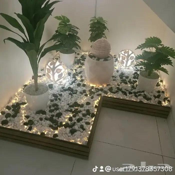 عشب  احواض زراعه شلال 5