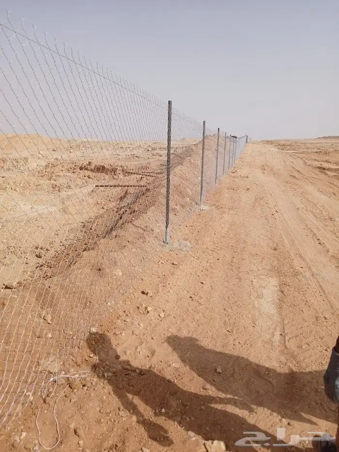 مقاول عام في الشبوك وتوريد النخيل 4