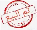 نعجة شحم ( تم البيع ) 0