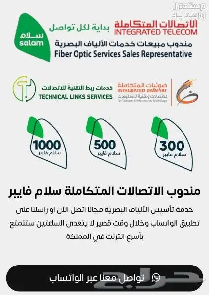 مندوب ألياف بصرية 1